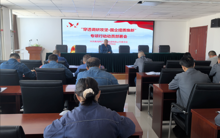 工投公司黨委召開(kāi)“穿透調(diào)研攻堅(jiān)·國(guó)企提質(zhì)煥新”專(zhuān)項(xiàng)行動(dòng)動(dòng)員部署會(huì)