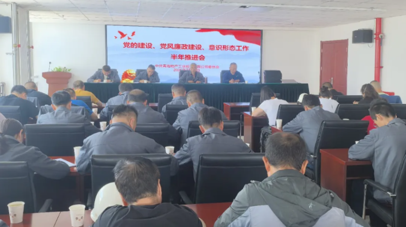 工投公司黨委召開黨的建設(shè)、黨風(fēng)廉政建設(shè)、意識形態(tài)工作半年推進會